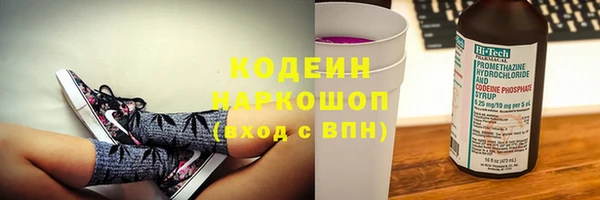 ГАЛЛЮЦИНОГЕННЫЕ ГРИБЫ Пестово