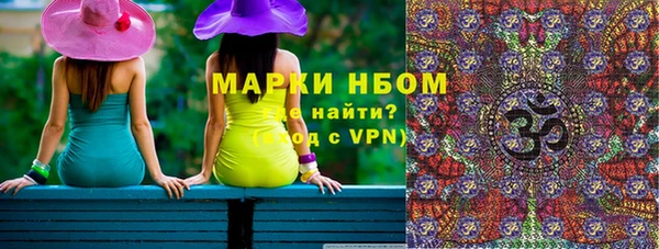 молекула духа Осташков