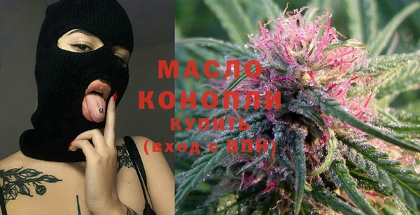 молекула духа Осташков