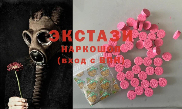 молекула духа Осташков