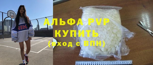 молекула духа Осташков
