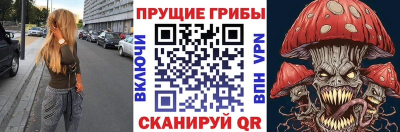 Галлюциногенные грибы MAGIC MUSHROOMS Андреаполь